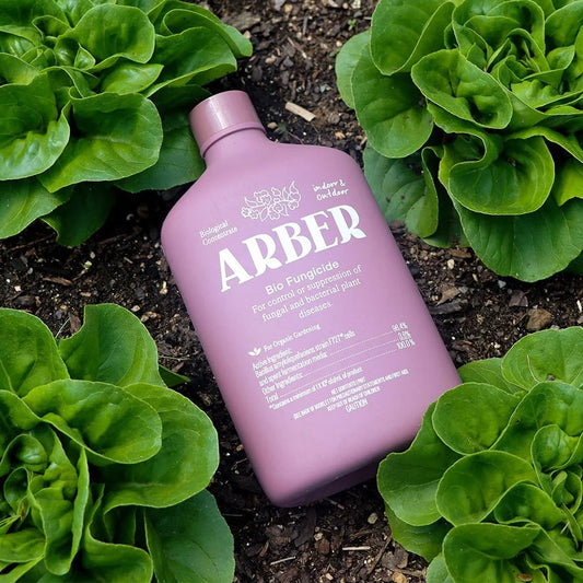 Arber Bio Fungicide