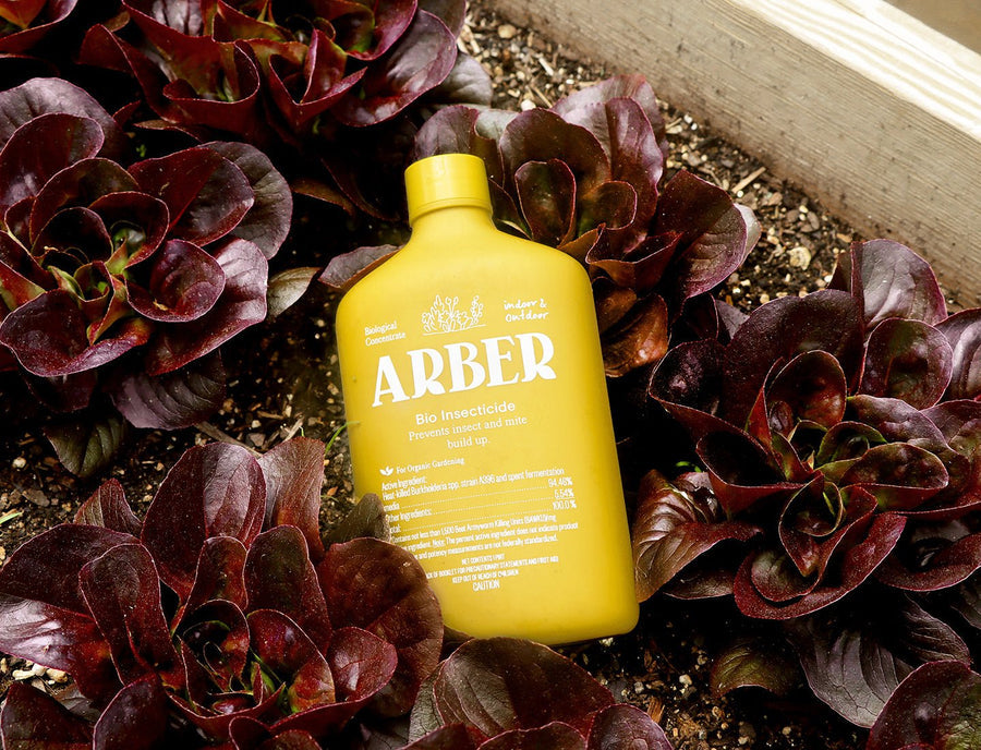 Arber Bio Insecticide